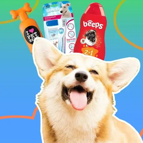 Productos de higiene para perros | TusMascotas.cl