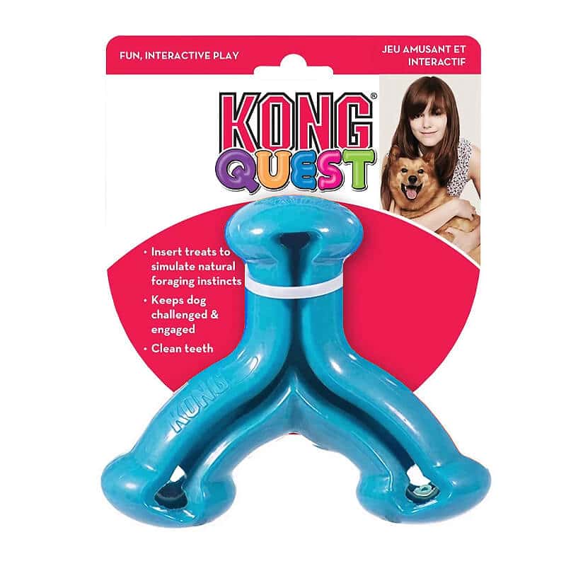 Kong quest 2024 wishbone large