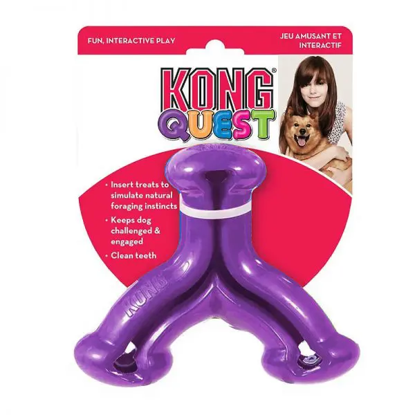 Kong Quest Wishbone Morado S