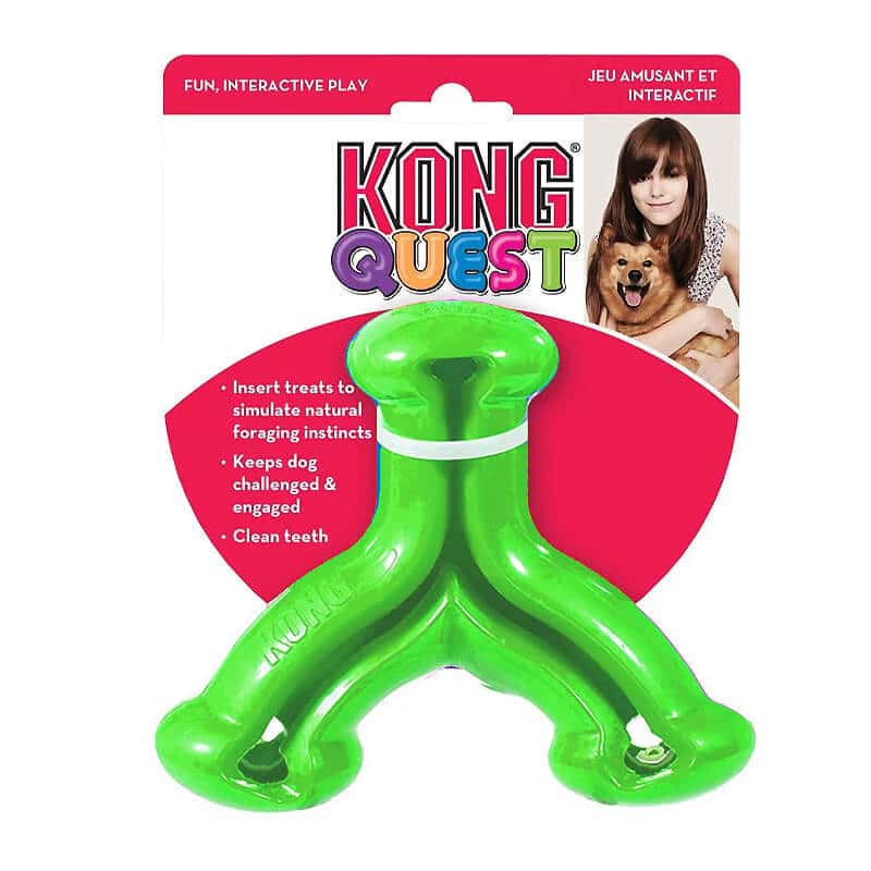 Kong quest outlet wishbone