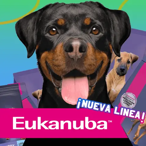 Alimento para perros Eukanuba