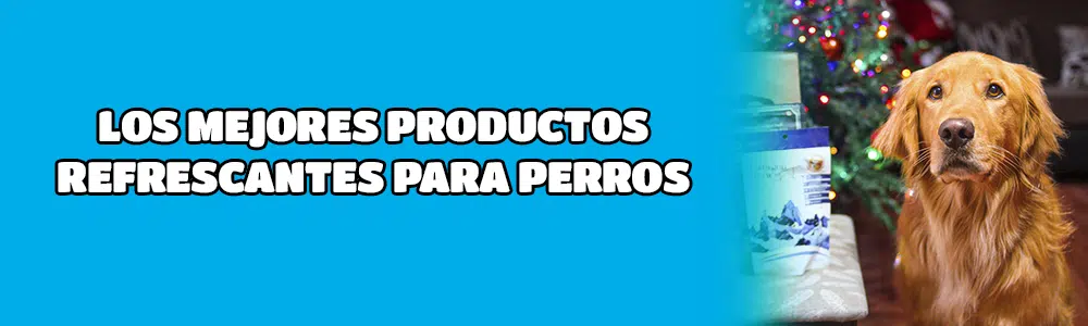 Los mejores productos refrescantes para perros