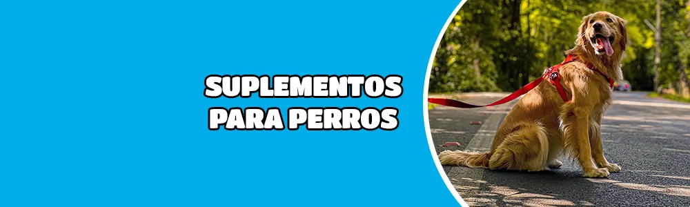 Suplementos para perros