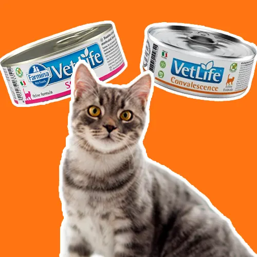 Alimento húmedo de VetLife para gatos en TusMascotas.cl
