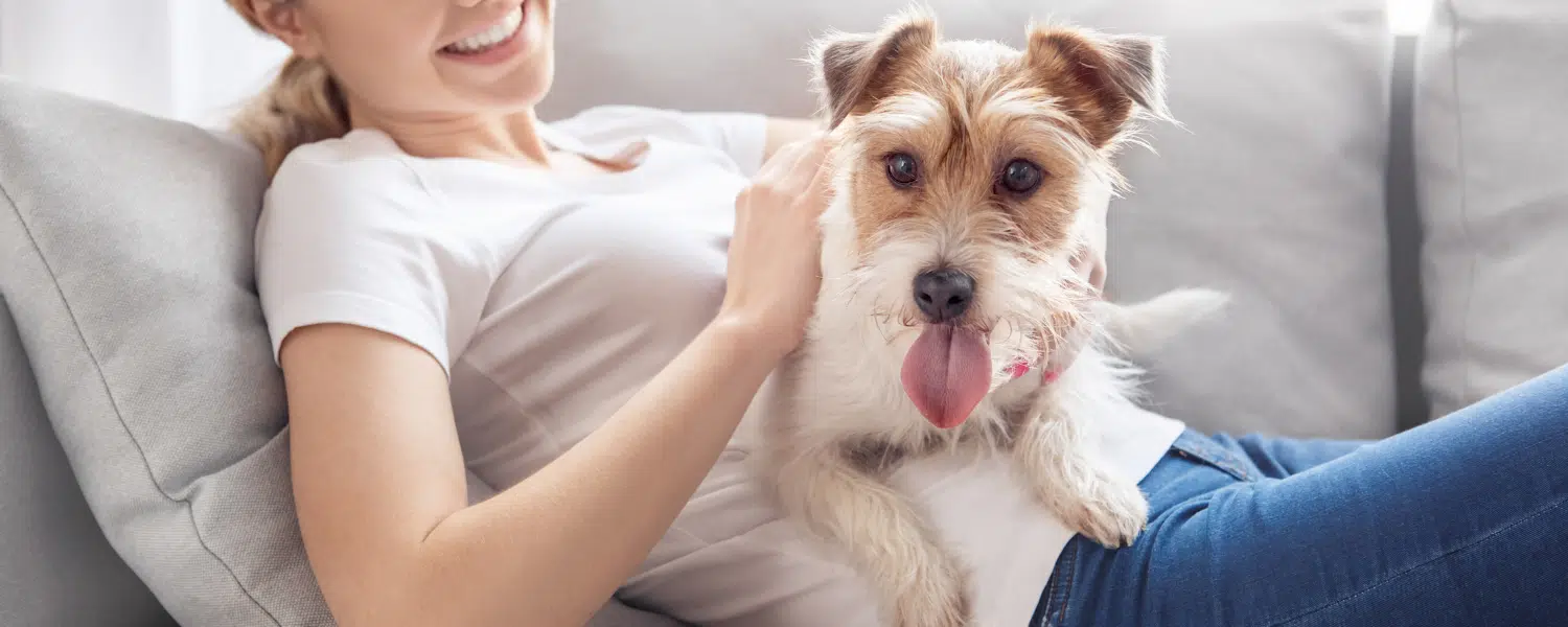 5 consejos para demostrarle a tu perro que lo quieres — TusMascotas.cl